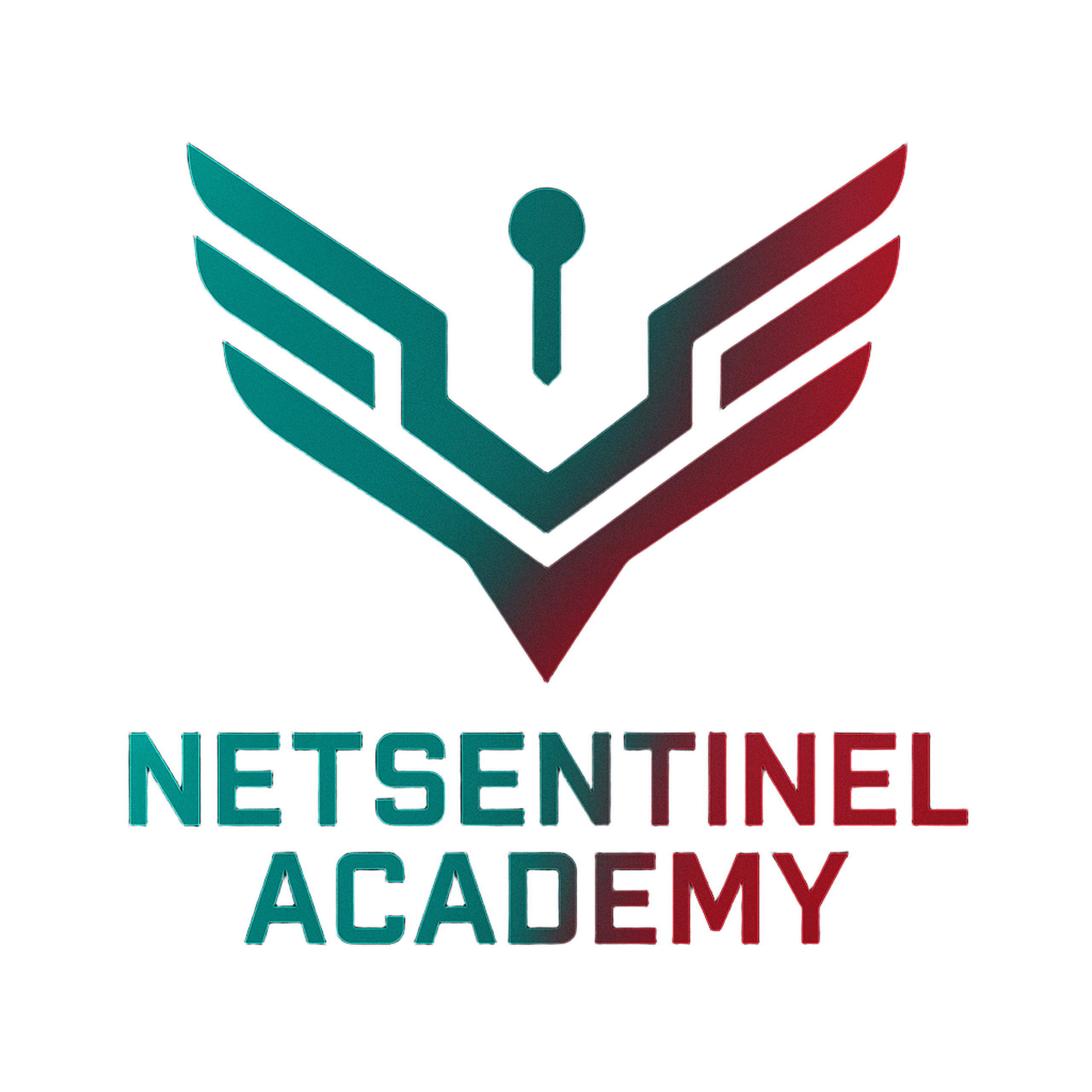 NetSentinel Academy